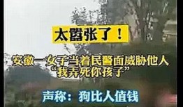 安徽蚌埠爆料事件视频播放,真相与争议交织